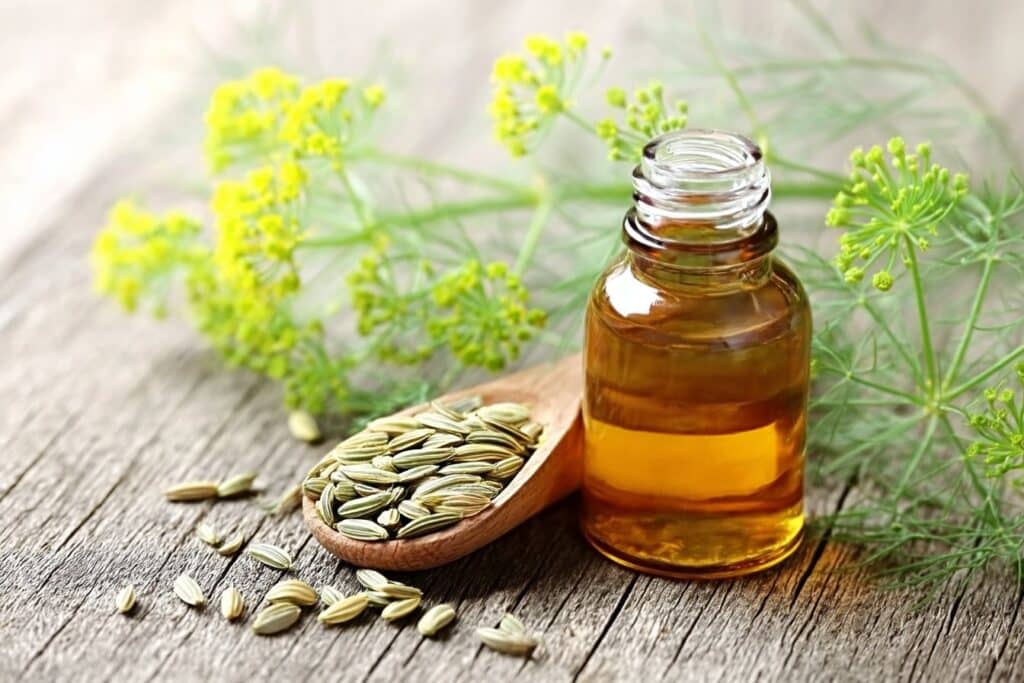 Glass bottle of fennel essential oil with fennel seeds and feathery green fronds, known for supporting digestion.