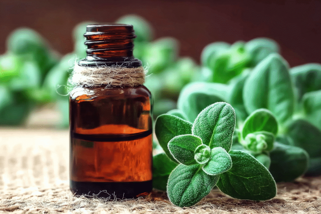 Small bottle of oregano essential oil with fresh and dried oregano sprigs, showcasing this powerful digestive herb.