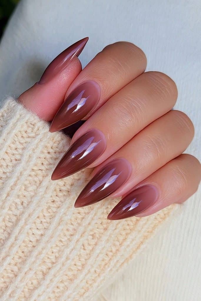 Rich chocolate brown stiletto nails with glossy shine