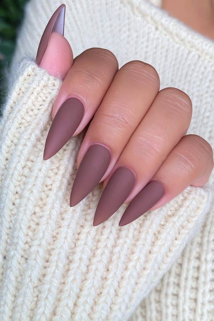 Deep chocolate stiletto nails with velvety matte finish