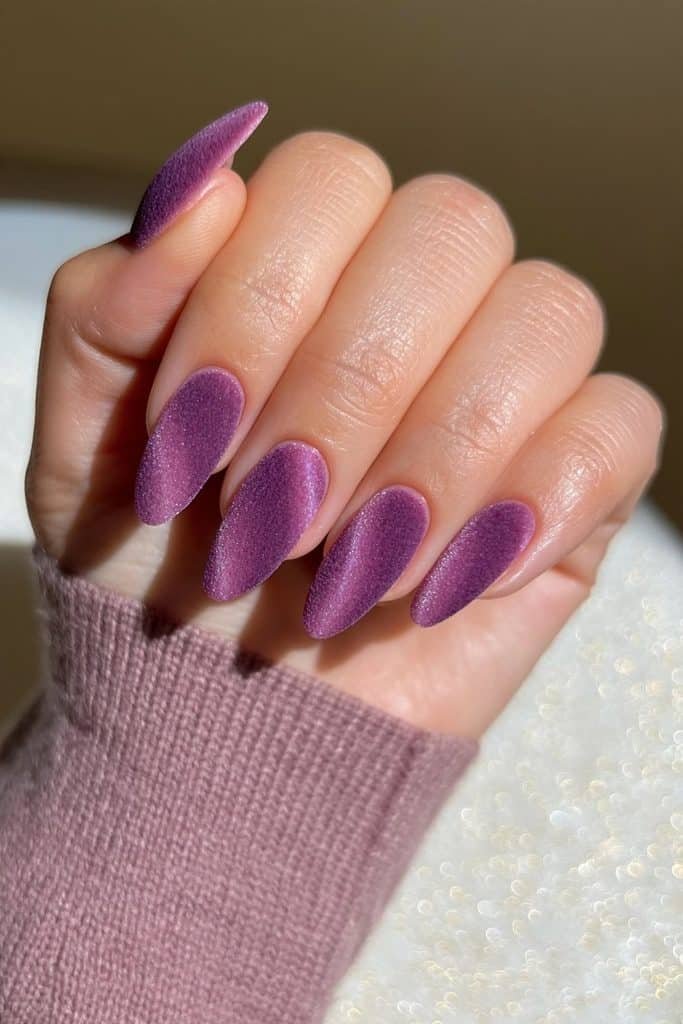 Deep sugar plum velvet magnetic nails with luminous berry-purple and lavender reflections